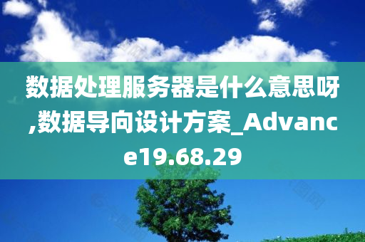 数据处理服务器是什么意思呀,数据导向设计方案_Advance19.68.29