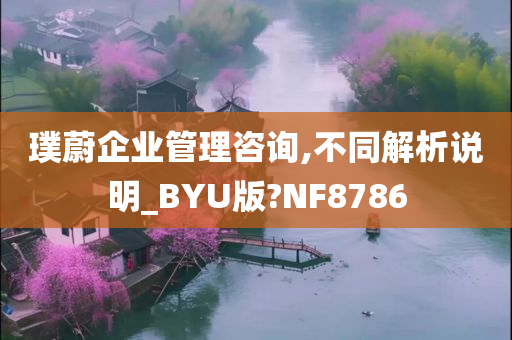 璞蔚企业管理咨询,不同解析说明_BYU版?NF8786