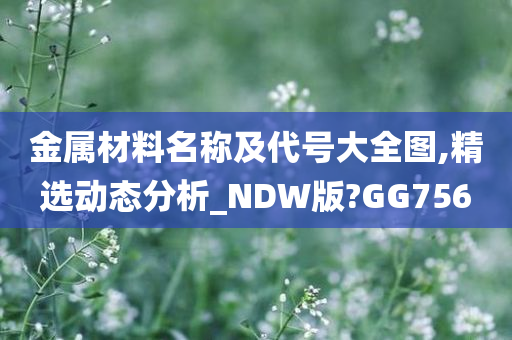 金属材料名称及代号大全图,精选动态分析_NDW版?GG756