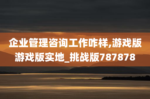 企业管理咨询工作咋样,游戏版游戏版实地_挑战版787878