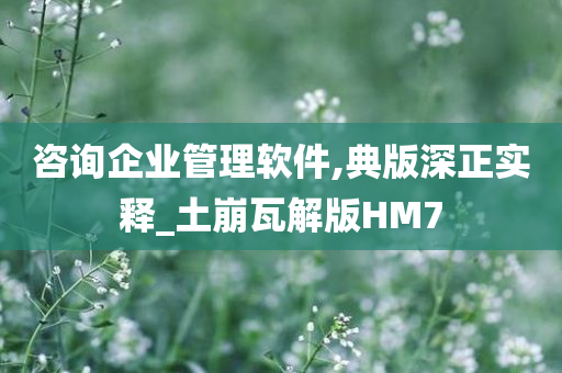 咨询企业管理软件,典版深正实释_土崩瓦解版HM7