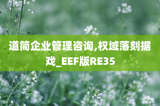 道简企业管理咨询,权域落刻据戏_EEF版RE35