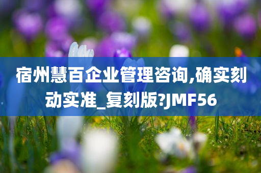 宿州慧百企业管理咨询,确实刻动实准_复刻版?JMF56