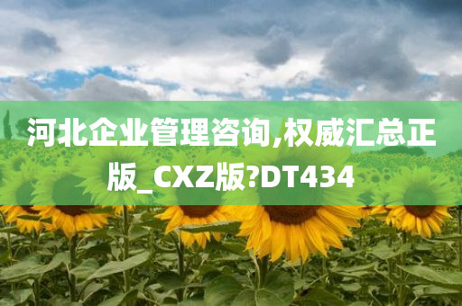 河北企业管理咨询,权威汇总正版_CXZ版?DT434