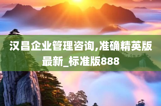 汉昌企业管理咨询,准确精英版最新_标准版888