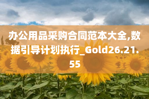 办公用品采购合同范本大全,数据引导计划执行_Gold26.21.55