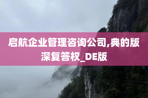 启航企业管理咨询公司,典的版深复答权_DE版