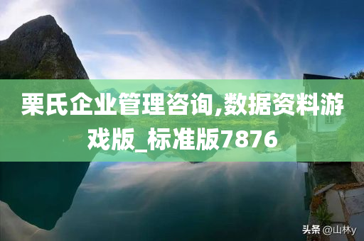 栗氏企业管理咨询,数据资料游戏版_标准版7876