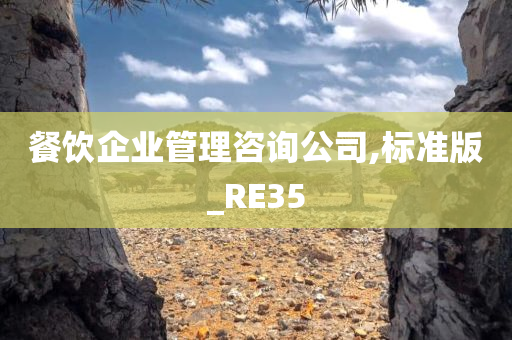 餐饮企业管理咨询公司,标准版_RE35