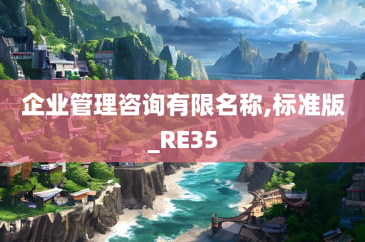 企业管理咨询有限名称,标准版_RE35