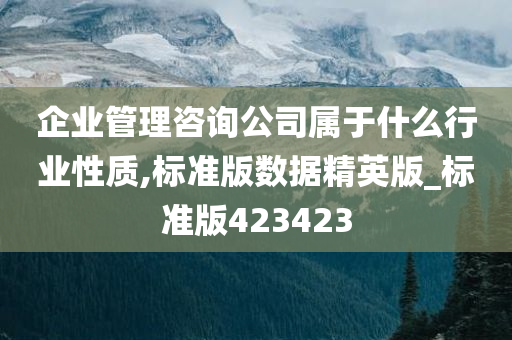 企业管理咨询公司属于什么行业性质,标准版数据精英版_标准版423423