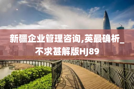 新疆企业管理咨询,英最确析_不求甚解版HJ89