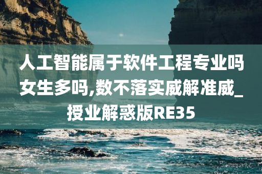 人工智能属于软件工程专业吗女生多吗,数不落实威解准威_授业解惑版RE35