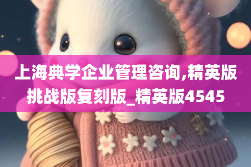 上海典学企业管理咨询,精英版挑战版复刻版_精英版4545