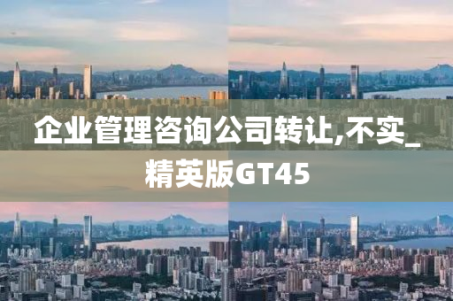 企业管理咨询公司转让,不实_精英版GT45