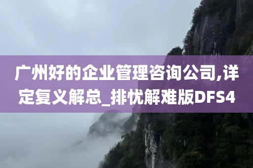 广州好的企业管理咨询公司,详定复义解总_排忧解难版DFS4