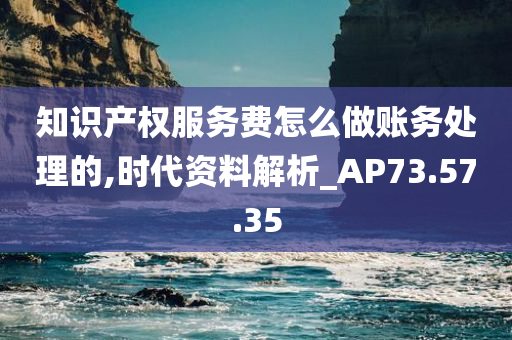 知识产权服务费怎么做账务处理的,时代资料解析_AP73.57.35