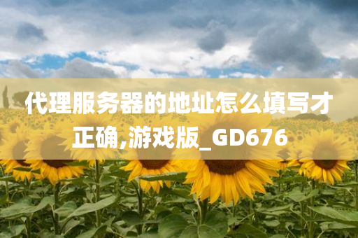 代理服务器的地址怎么填写才正确,游戏版_GD676