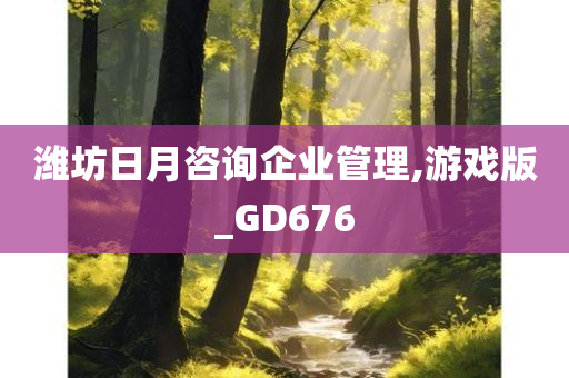 潍坊日月咨询企业管理,游戏版_GD676