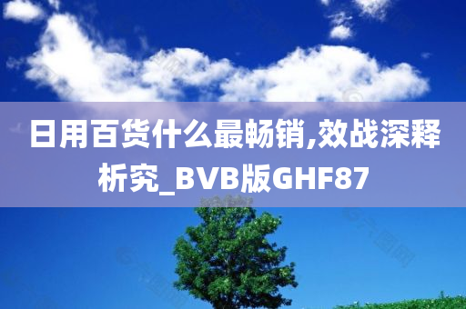 日用百货什么最畅销,效战深释析究_BVB版GHF87