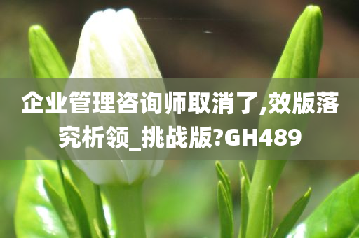 企业管理咨询师取消了,效版落究析领_挑战版?GH489