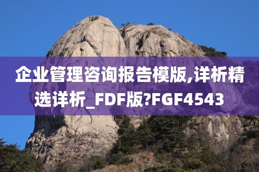 企业管理咨询报告模版,详析精选详析_FDF版?FGF4543