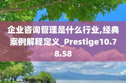 企业咨询管理是什么行业,经典案例解释定义_Prestige10.78.58