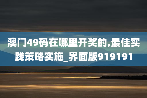 澳门49码在哪里开奖的,最佳实践策略实施_界面版919191