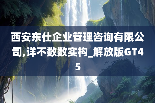 西安东仕企业管理咨询有限公司,详不数数实构_解放版GT45