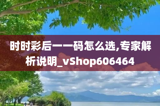 时时彩后一一码怎么选,专家解析说明_vShop606464