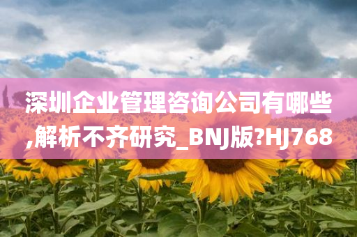 深圳企业管理咨询公司有哪些,解析不齐研究_BNJ版?HJ768