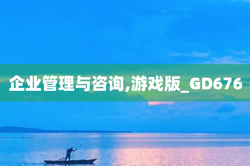 企业管理与咨询,游戏版_GD676