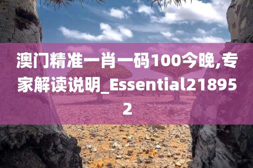 澳门精准一肖一码100今晚,专家解读说明_Essential218952