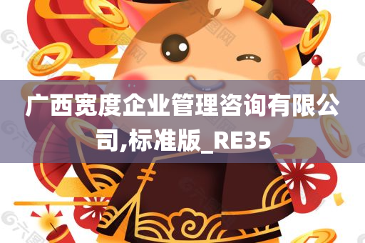 广西宽度企业管理咨询有限公司,标准版_RE35