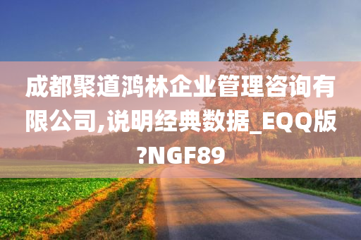 成都聚道鸿林企业管理咨询有限公司,说明经典数据_EQQ版?NGF89