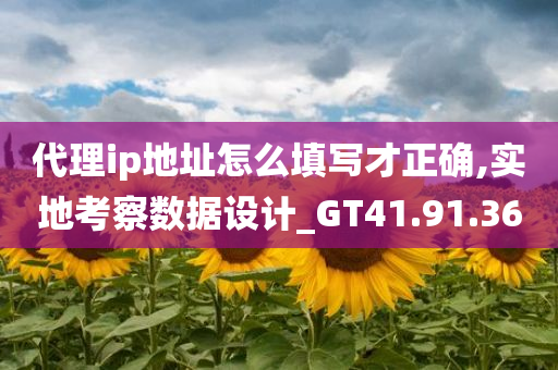 代理ip地址怎么填写才正确,实地考察数据设计_GT41.91.36