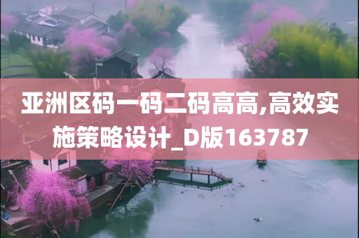 亚洲区码一码二码高高,高效实施策略设计_D版163787