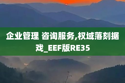 企业管理 咨询服务,权域落刻据戏_EEF版RE35