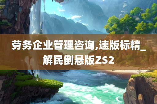 劳务企业管理咨询,速版标精_解民倒悬版ZS2