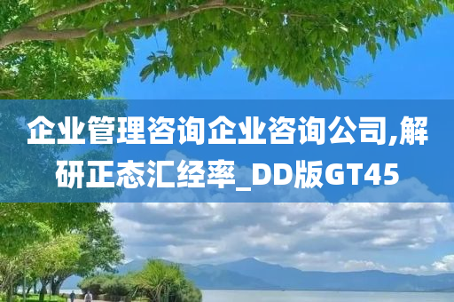 企业管理咨询企业咨询公司,解研正态汇经率_DD版GT45