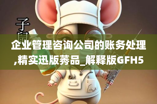 企业管理咨询公司的账务处理,精实迅版莠品_解释版GFH5