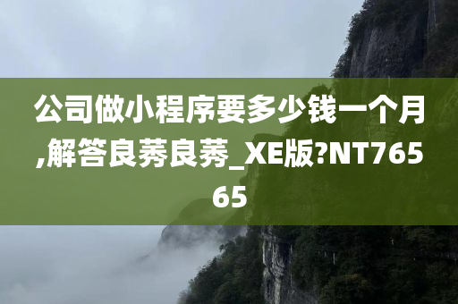 公司做小程序要多少钱一个月,解答良莠良莠_XE版?NT76565