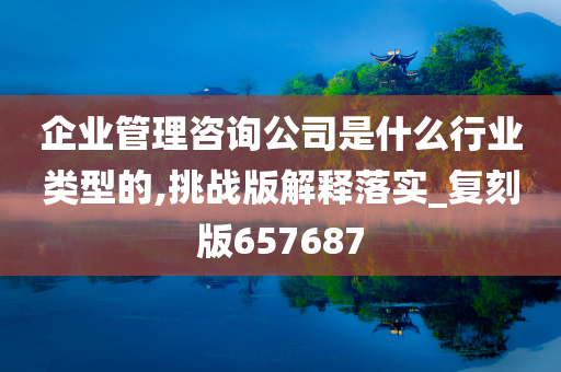 企业管理咨询公司是什么行业类型的,挑战版解释落实_复刻版657687