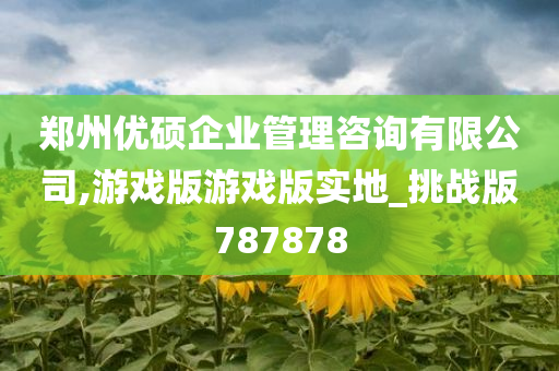 郑州优硕企业管理咨询有限公司,游戏版游戏版实地_挑战版787878