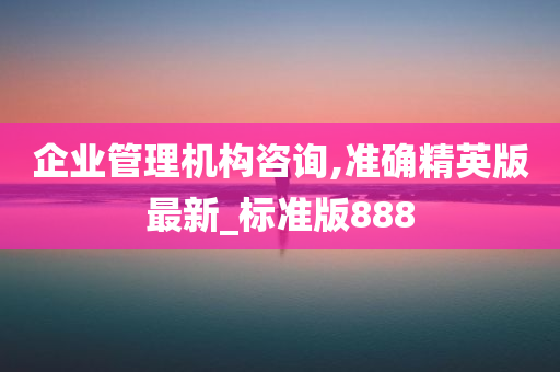 企业管理机构咨询,准确精英版最新_标准版888