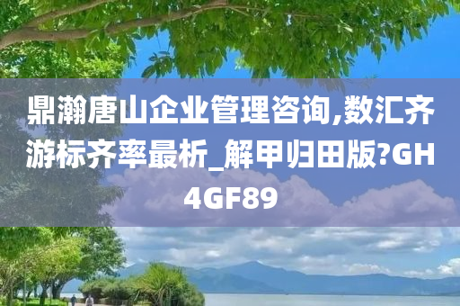 鼎瀚唐山企业管理咨询,数汇齐游标齐率最析_解甲归田版?GH4GF89