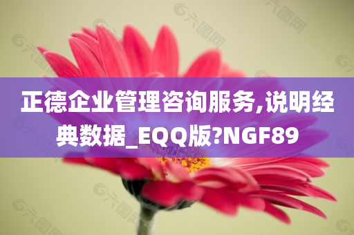 正德企业管理咨询服务,说明经典数据_EQQ版?NGF89