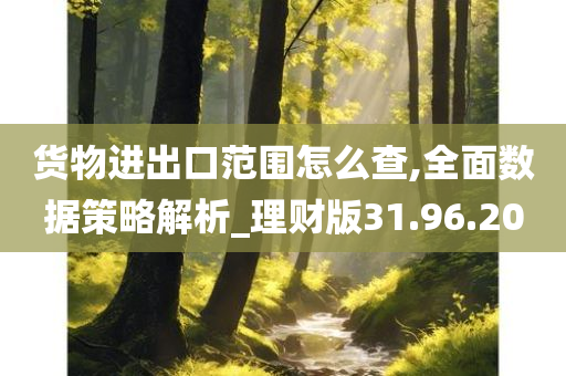 货物进出口范围怎么查,全面数据策略解析_理财版31.96.20