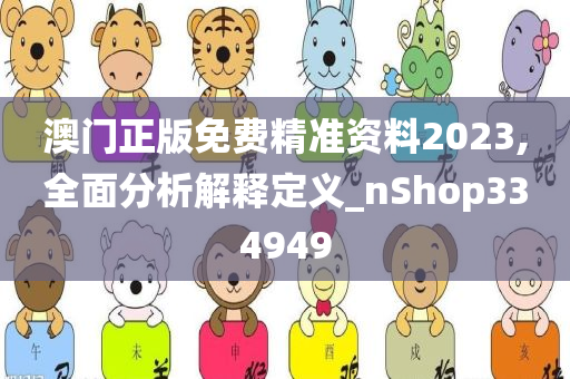 澳门正版免费精准资料2023,全面分析解释定义_nShop334949