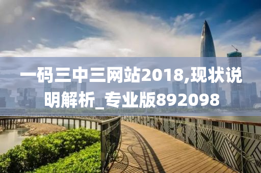 一码三中三网站2018,现状说明解析_专业版892098